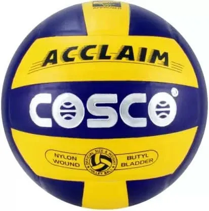 Acclaim VolleyBall