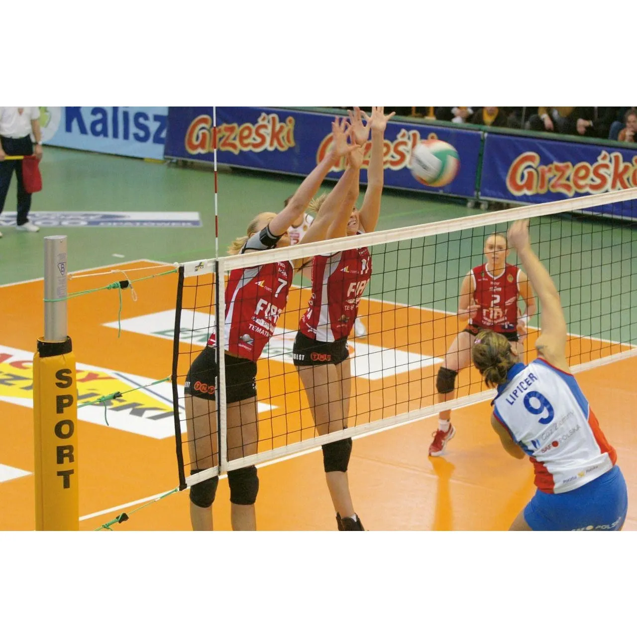 Edwards 3mm Volleyball Match Net [WS]