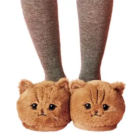 Kitty Cat Slippers