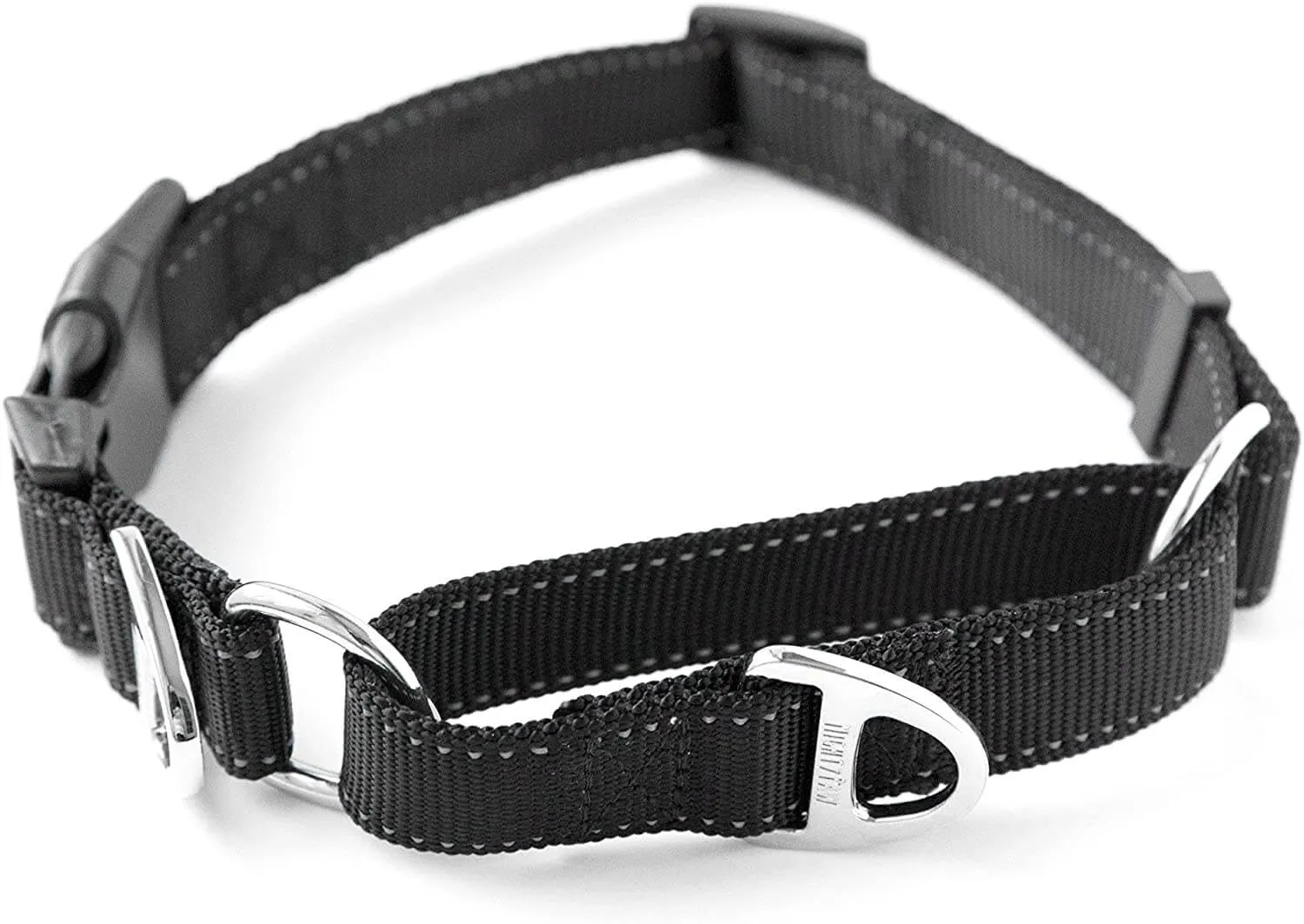 Mighty Paw Nylon Martingale Dog Collar for Training