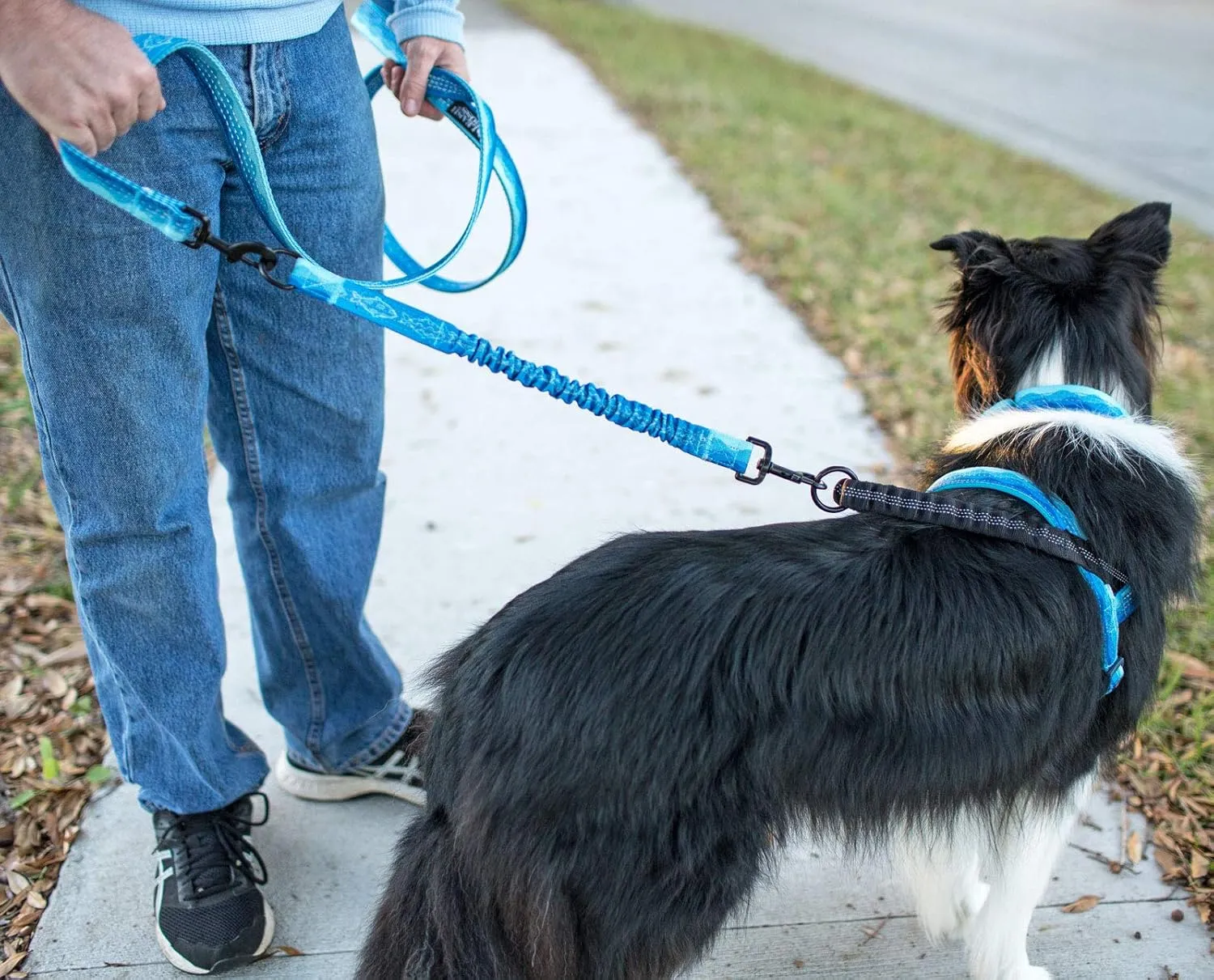 Patterned 18" Shock Absorbing Bungee Leash Extender - Pattern Collection