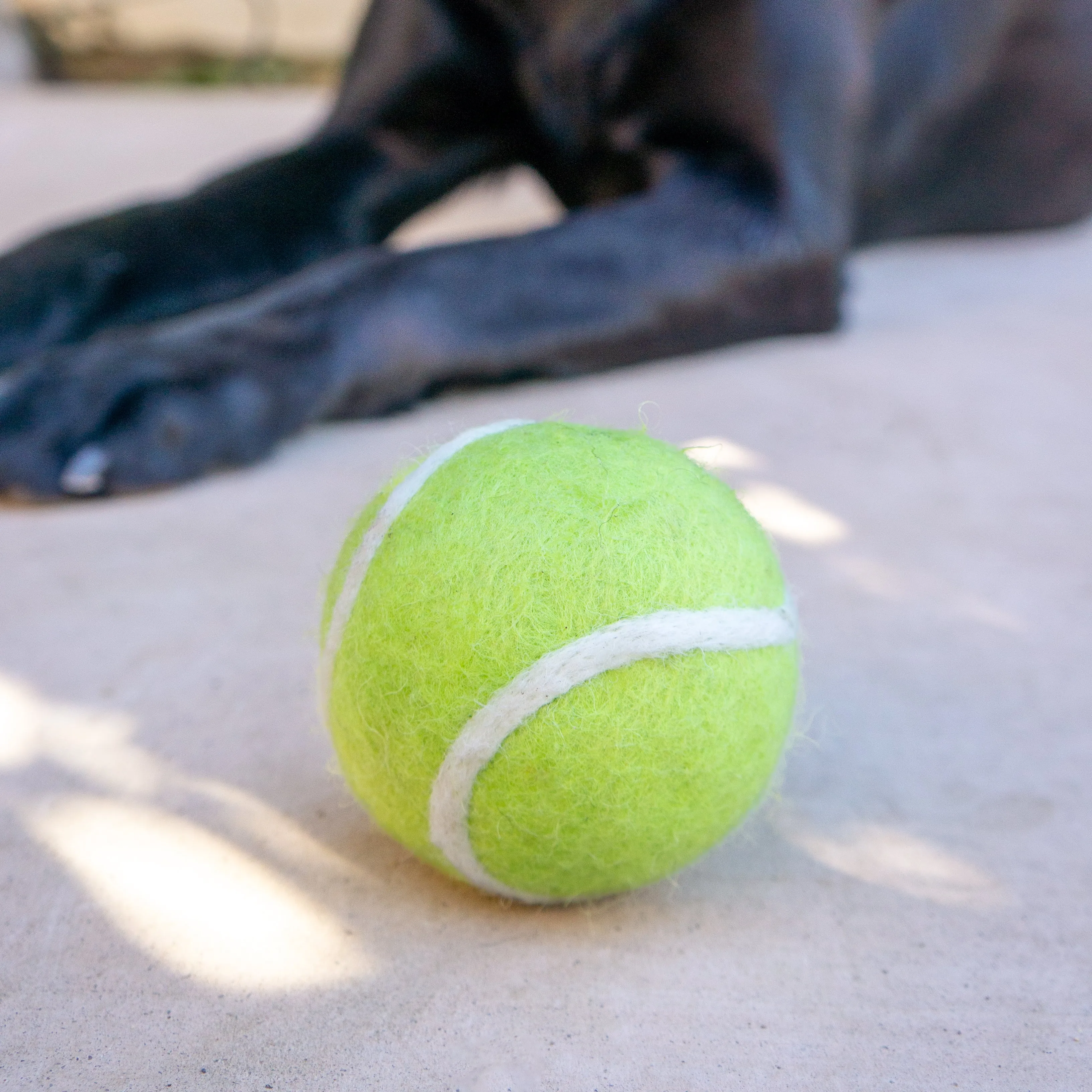 Tennis Wool Ball Dog Toy